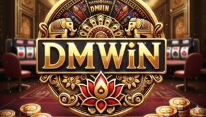dmwin login